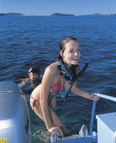 Seal Cove - Accommodation Bookings 0