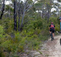 McMahon's Point ride - Wentworth Falls - Accommodation Bookings