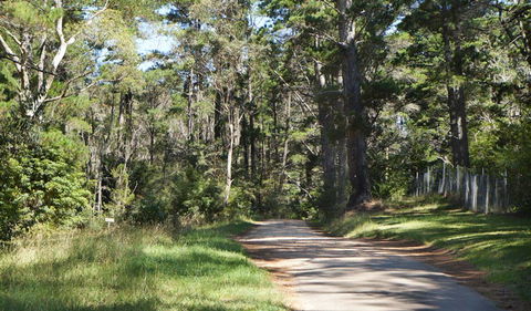 McMahon's Point Ride - Wentworth Falls - Accommodation Bookings 2