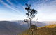 Salisbury Waters Walking Track - thumb 0