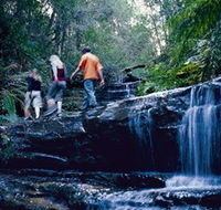 South Lawson Waterfall Circuit - Accommodation Bookings