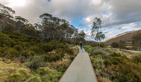 Thredbo Valley Track - Accommodation Bookings 0
