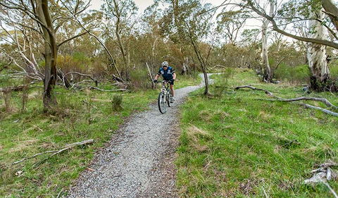 Thredbo Valley Track - Accommodation Bookings 1