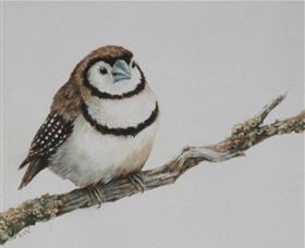 Bungendore Fine Art - Accommodation Bookings 1
