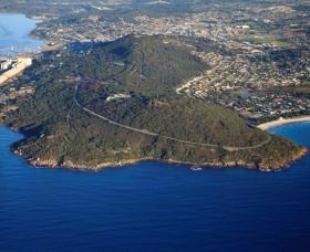 Avenue Of Honour - Accommodation Bookings 0