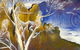 Loviz Arts Gallery - thumb 4