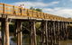 Gippsland Plains Rail Trail - thumb 1