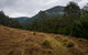 Nowendoc National Park - thumb 1