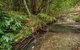 Nowendoc National Park - thumb 2