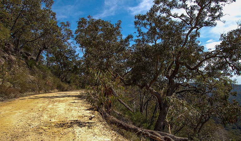 Colo Heights NSW Accommodation Bookings