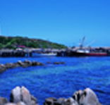King Island Dairies - Accommodation Bookings