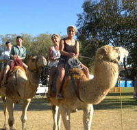 Calamunnda Camel Farm  - Accommodation Bookings