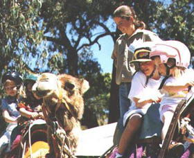 Calamunnda Camel Farm  - Accommodation Bookings 2