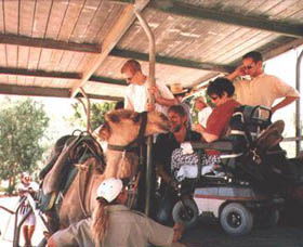 Calamunnda Camel Farm  - Accommodation Bookings 3