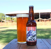 Feral Brewing Company - Accommodation Bookings
