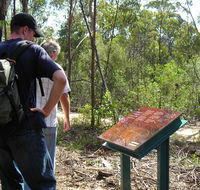 Finchley cultural walk - Accommodation Bookings