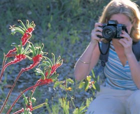 Kalamunda National Park - Accommodation Bookings 1