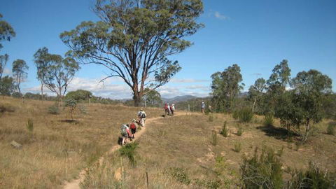 Kambah Pool To Pine Island - Accommodation Bookings 3