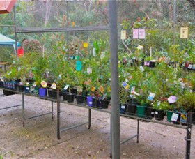 Glenbrook Native Plant Reserve And Nursery - Accommodation Bookings 3