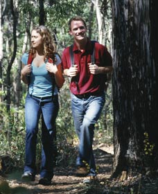 Bibbulmun Track - Accommodation Bookings 1