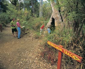 Bibbulmun Track - Accommodation Bookings 3