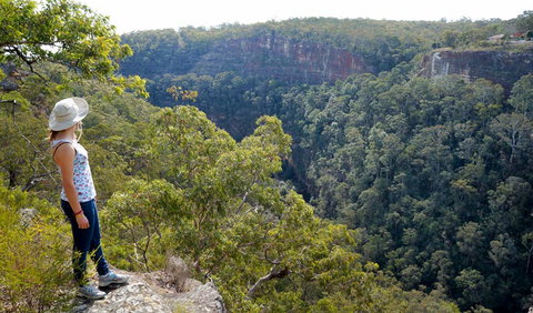 Glenbrook Gorge Track - Accommodation Bookings 2