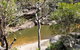 Glenbrook Gorge Track - thumb 1