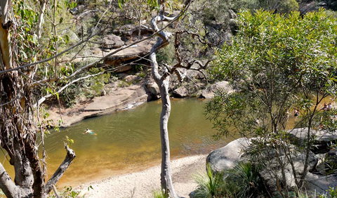 Glenbrook Gorge Track - Accommodation Bookings 1