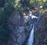 Lyrebird Falls walking track - Accommodation Bookings