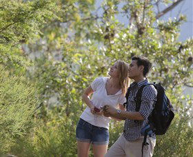 The Rock Lookout - Accommodation Bookings 6