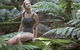 Barrington Tops National Park - Honeysuckle Forest Track - thumb 0