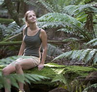 Barrington Tops National Park - Honeysuckle Forest Track - Accommodation Bookings