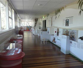Kanyana Wildlife Rehabilitation Centre - Accommodation Bookings 1