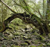 Mitchell River Walking Track - Accommodation Bookings