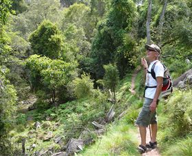 Mitchell River Walking Track - Accommodation Bookings 1