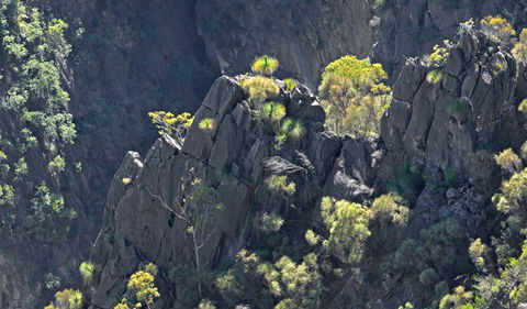 Bungonia National Park - Accommodation Bookings 2