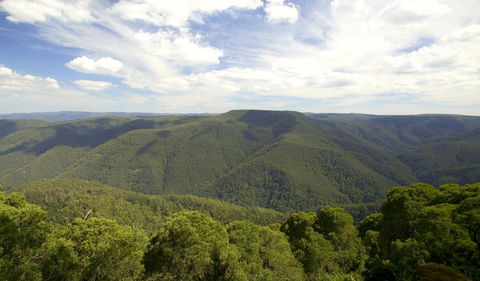 Barrington Tops National Park - Accommodation Bookings 0
