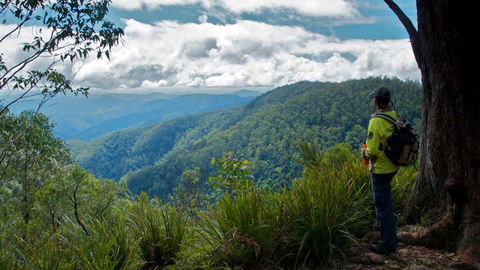 Barrington Tops National Park - Accommodation Bookings 3