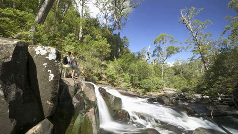 Barrington Tops National Park - Accommodation Bookings 2