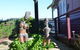 Wollombi Wines - thumb 7