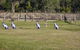 Wollombi Wines - thumb 5