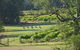 Wollombi Wines - thumb 8