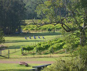 Wollombi Wines - Accommodation Bookings 8