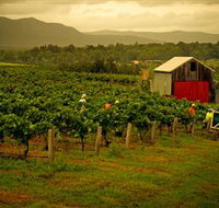 Around Hermitage Wine and Food Trail Hunter Valley - Accommodation Bookings