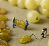 Hunter Valley Wine School - Accommodation Bookings