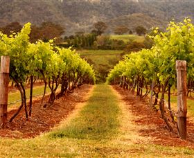 Hunter Valley Wine School - Accommodation Bookings 1