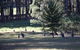 Shrine Of Our Lady Of Mercy At Penrose Park - thumb 2