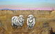 Greg Wilson Gallery - thumb 1