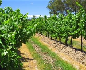 Misty Glen Wines And Cottage - Accommodation Bookings 1