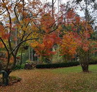 Bellbird Cottage - Accommodation Bookings